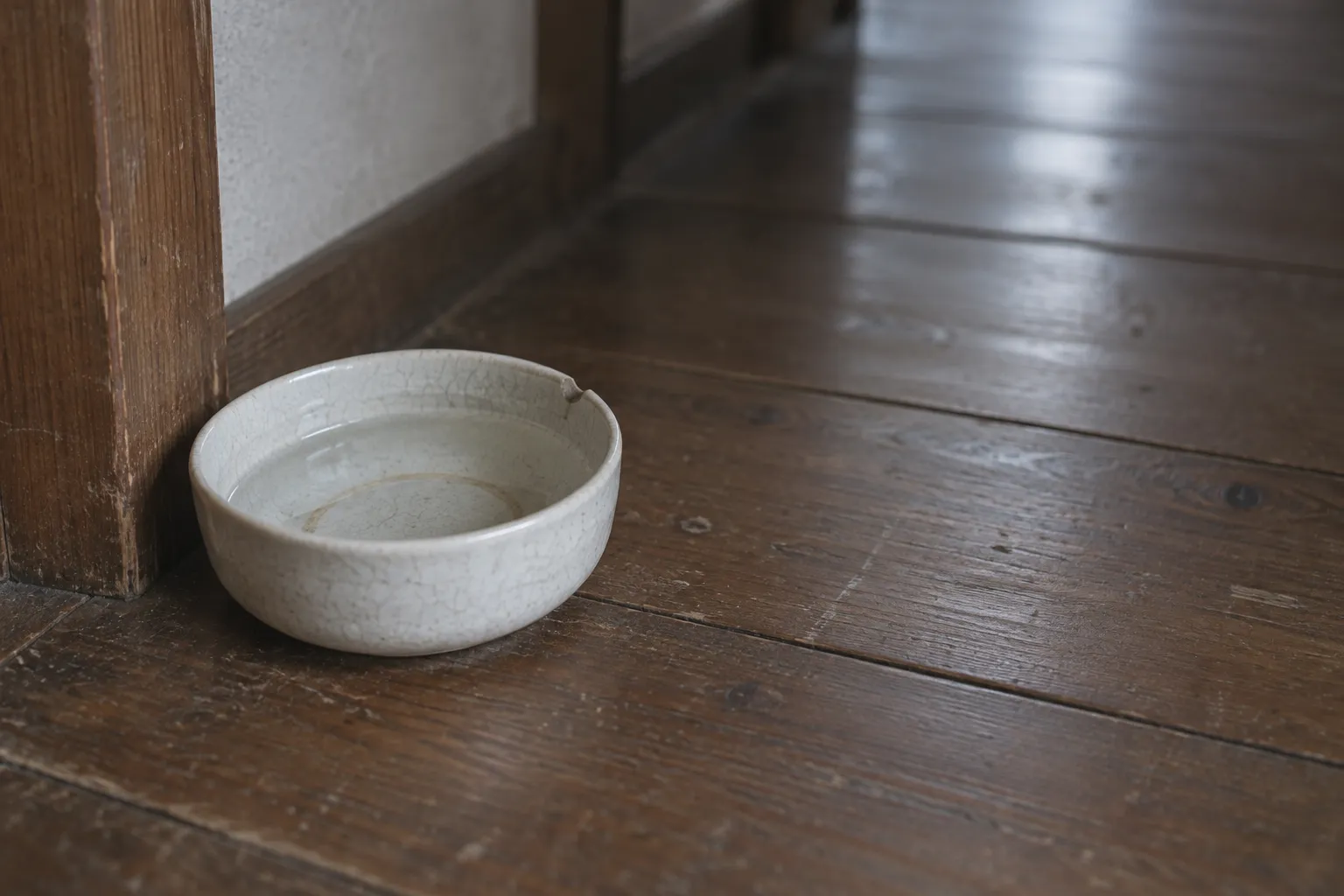 板の間の柱のわきに置かれた、白い陶器の猫の水入れ